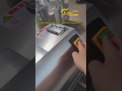 স্বয়ংক্রিয় সবজি গাজর আলু কুমড়া পেঁয়াজ কাটার মেশিন বাণিজ্যিক ছোট