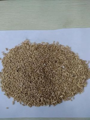 নাম